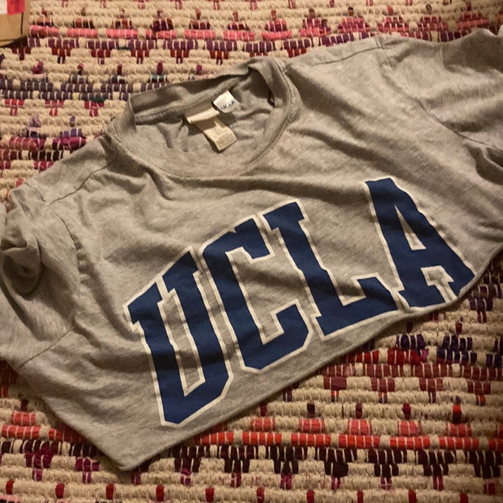 UCLA CROP-TOP CROPPED GRAY